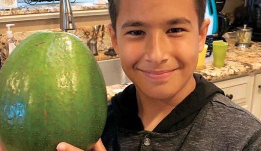 Massive 5.6 pound avocado in Hawaii wins Guinness World Records title. (Credit: CBS News)