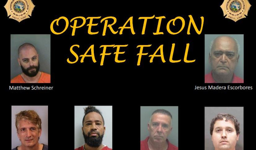 Florida Dept. of Law Enforcement's Operation Safe Fail graphic. (Credit: FDLE)