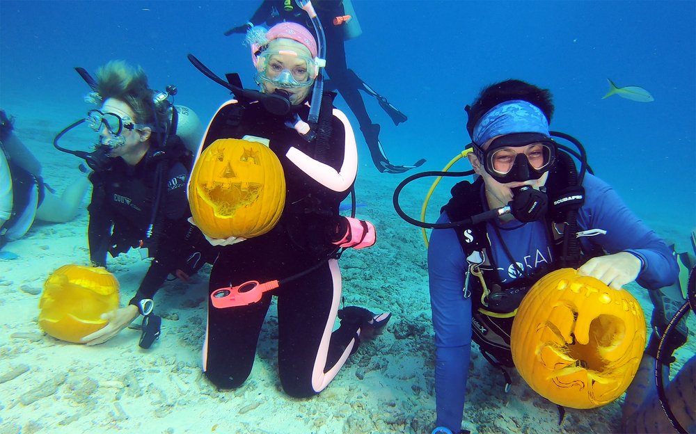 Divers Carve Pumpkins Underwater For Florida Keys Contest - WINK News