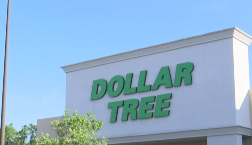 South Fort Myers Dollar Tree store. (Credit: WINK News)