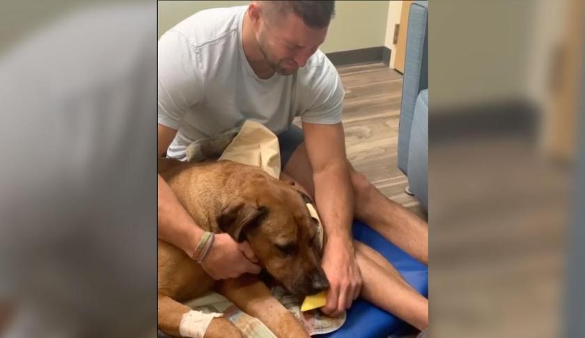 Tebow bid farewell to his pup in a wrenching Instagram post. He shared a video crying and cradling Bronco in his final moments. (Credit: Instagram)