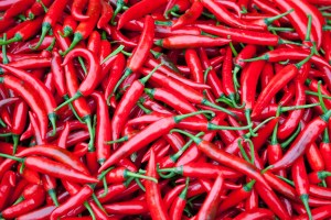 Eat chili peppers and you could reduce your risk of dying, according to a new study. (Credit: Shutterstock)