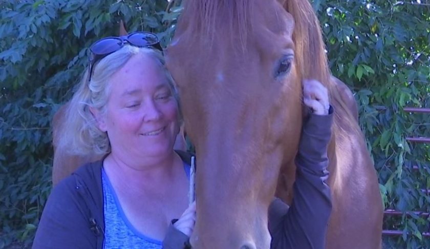 Cynthia Gilbert with a rescue horse. (Credit: WINK News)