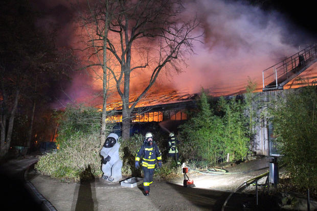 Firemen work at the burning monkey house of the zoo in Krefeld, western Germany, on early January 1, 2020. (Credit: ALEXANDER FORSTREUTER/GETTY via CBS News)