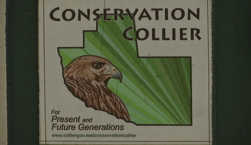 conservation collier