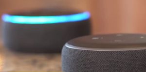 $1 million in grants to detect dementia through voice assistant systems. (Credit: WINK News)