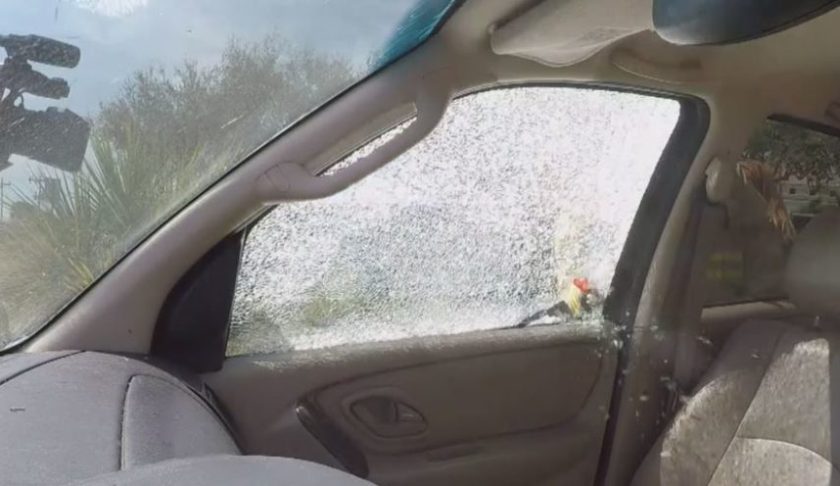 Tool breaks car window. (Credit: WINK News)