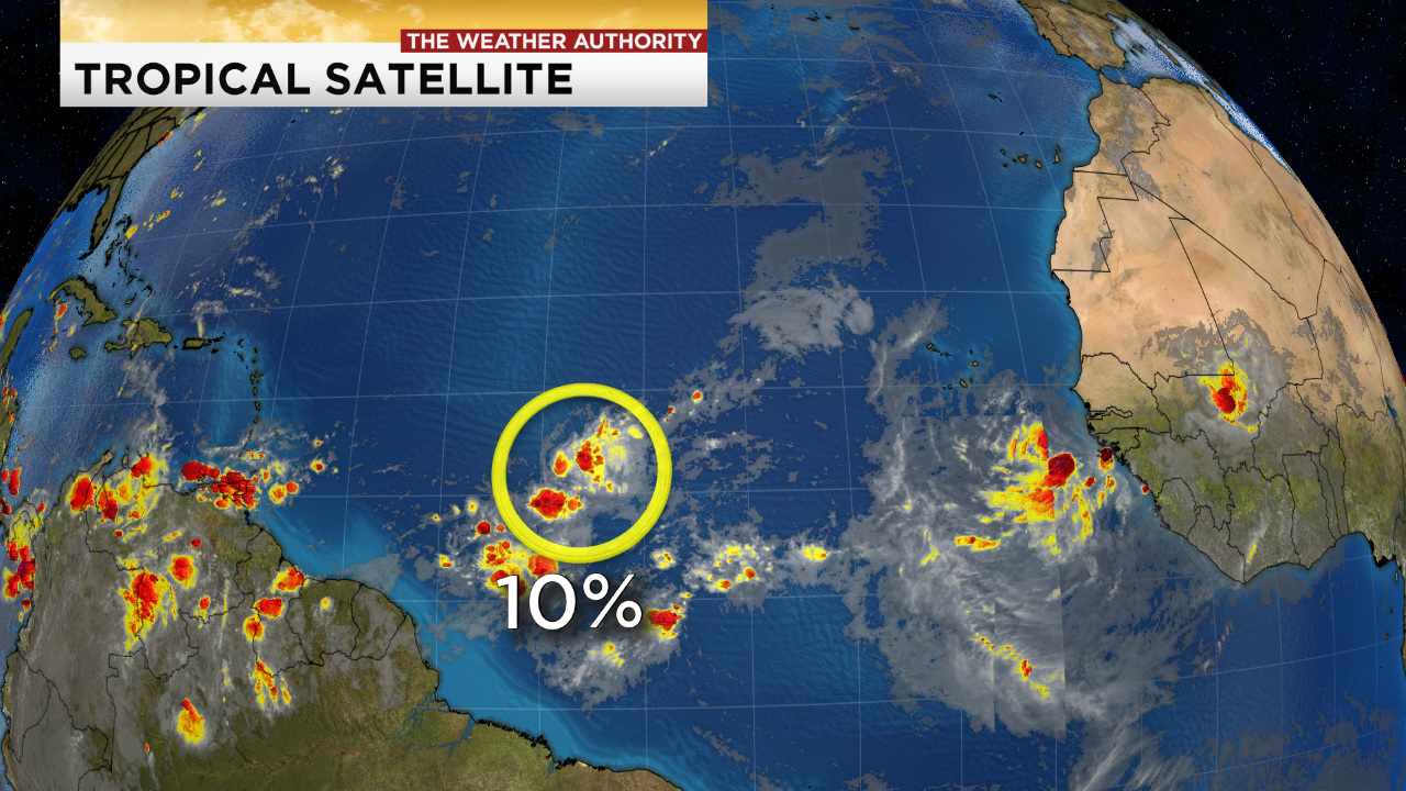 NHC monitoring tropical wave, small chance of development - WINK News