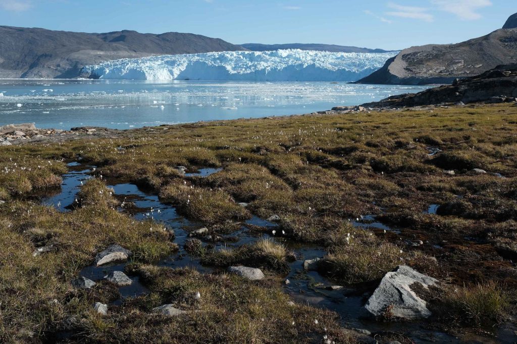 ‘Alarming’ and ‘extraordinary’ rate of change as the Arctic warms, NOAA report says