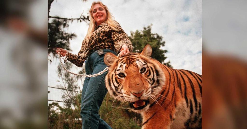 Volunteer bitten by tiger at Carole Baskin’s Big Cat Rescue