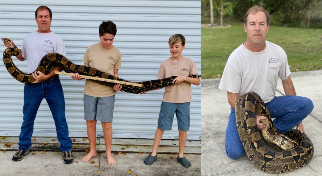 60-pound boa constrictor caught in Lehigh Acres