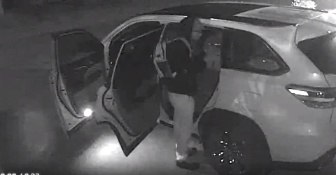 Charlotte County Sheriff’s Office searching for suspect in vehicle burglaries