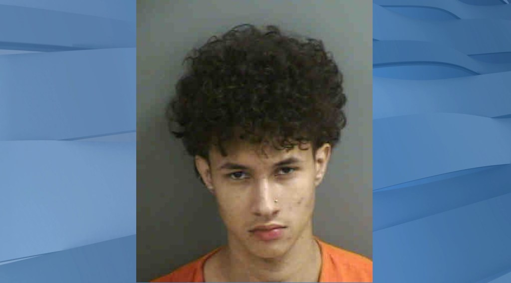 Deputies: 19-year-old leads troopers on chase in stolen car on I-75