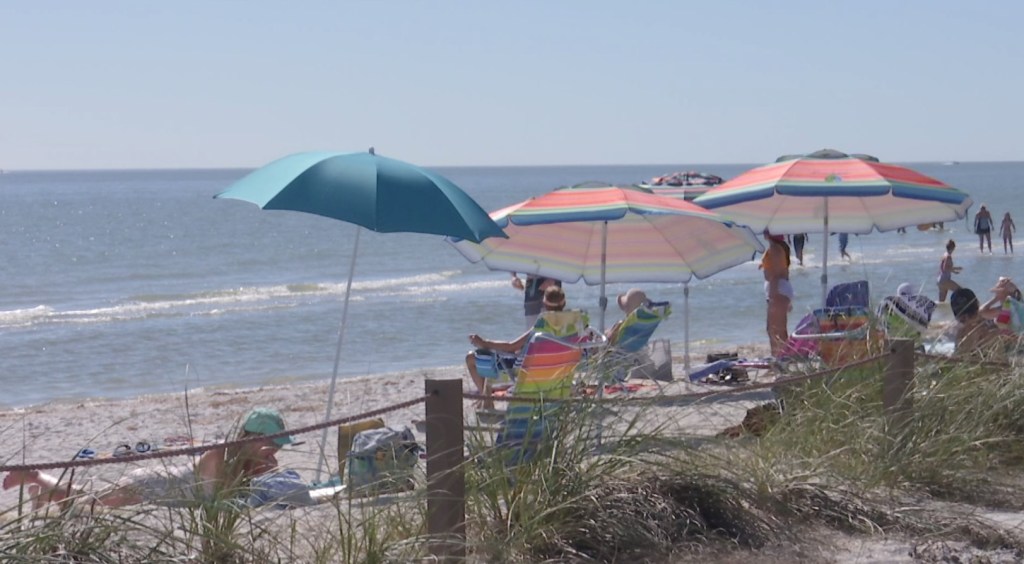 Researchers seek volunteers for study on how red tide affects the brain