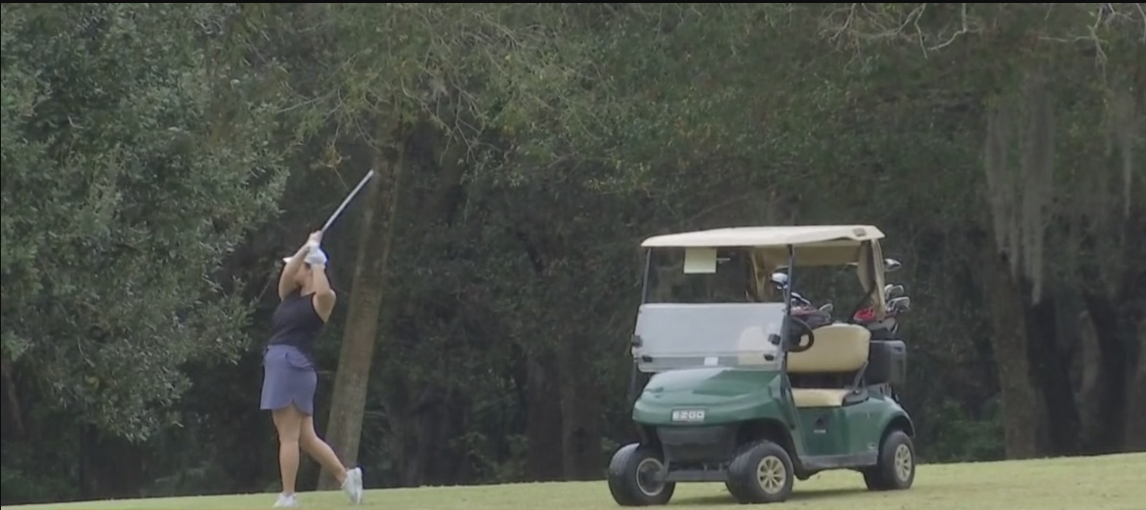 Cape Coral neighborhood wants permission to share road with golf carts -  WINK News