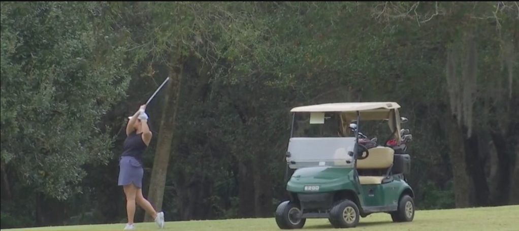 Cape Coral neighborhood wants permission to share road with golf carts