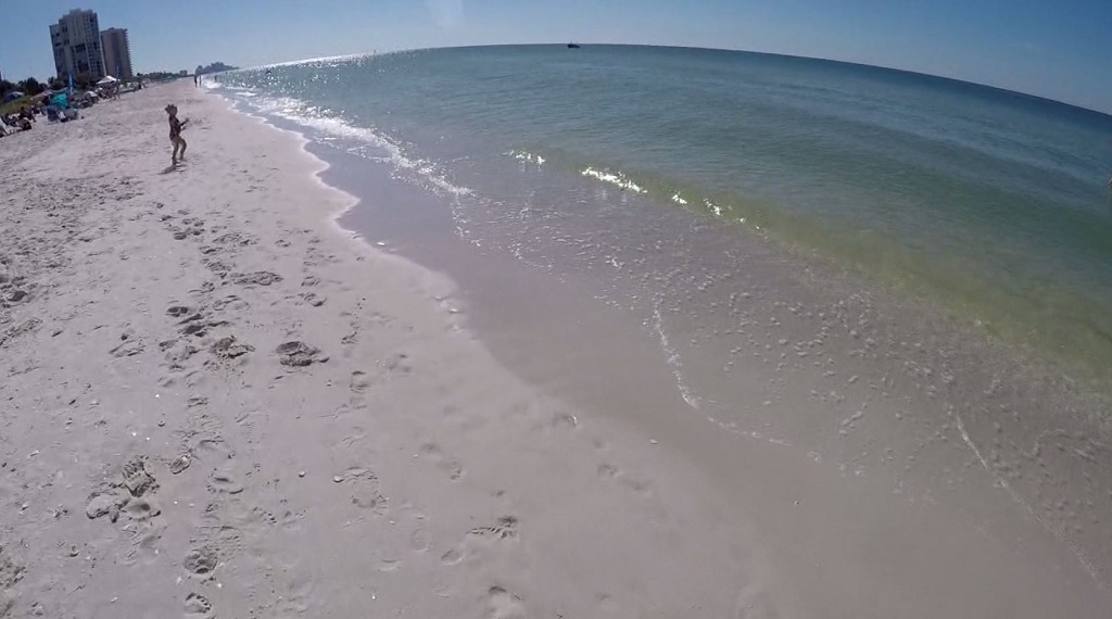 Red tide impacting charter industry in parts of SWFL, not so much beachgoers