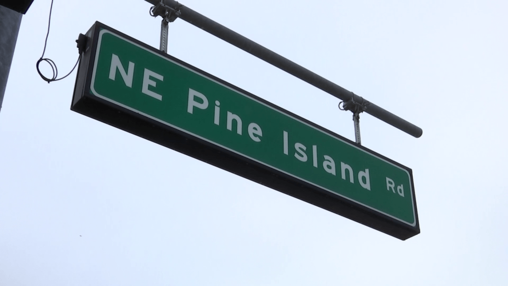 New development on the way for Pine Island Road