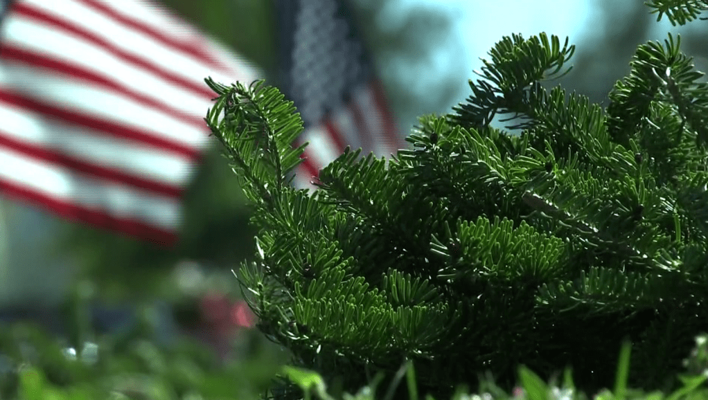 ‘Wreaths Across America’ lays wreaths on the graves of fallen soldiers Saturday