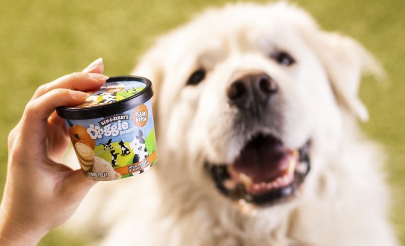 ice cream for dogs