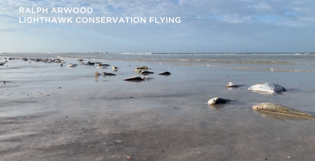 Studying how highest levels of red tide affect people along SWFL coast