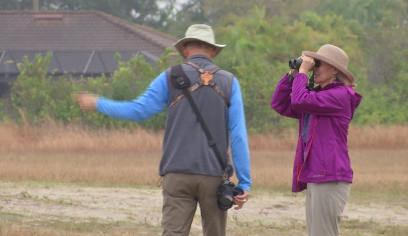 birdwatching cape coral