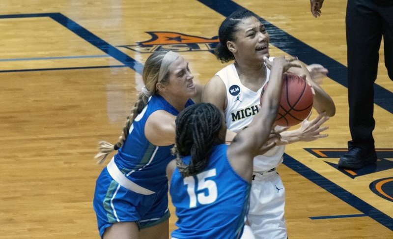 fgcu women's basketball