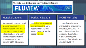 influenza stats