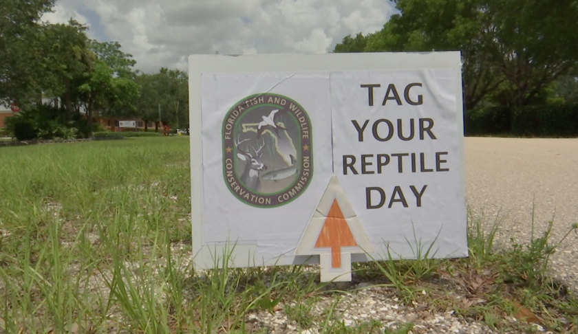 fwc tag your reptile