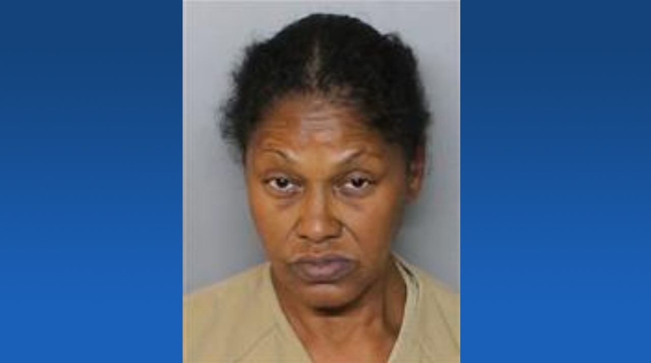 Overdose call in Port Charlotte leads to search warrant, child neglect ...