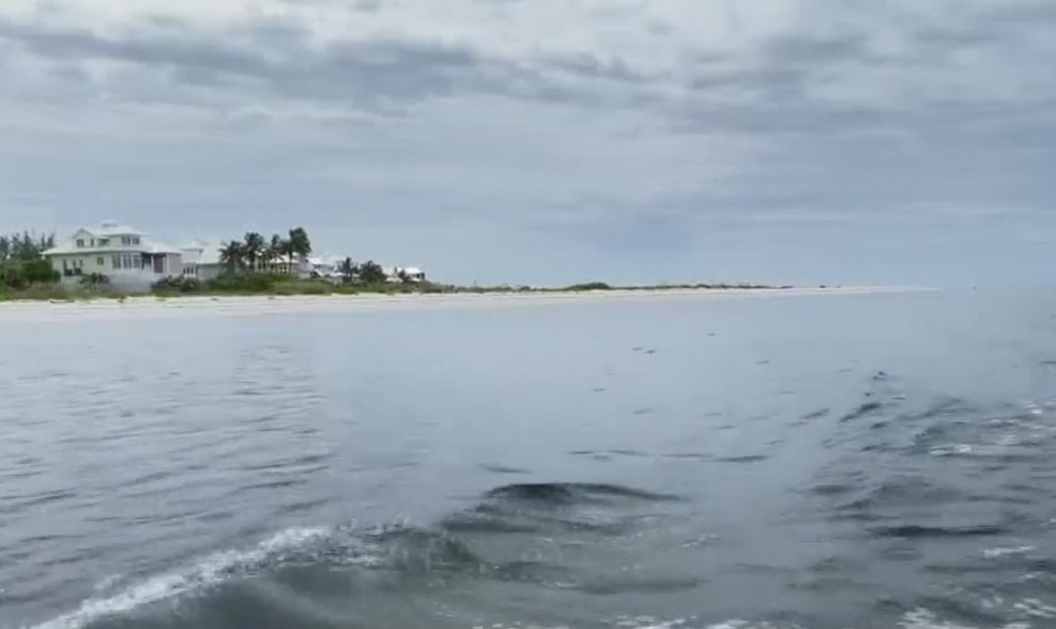 Low Dead Fish Count Doesn't Mean Red Tide Is Gone - WINK News