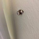 bullet in wall