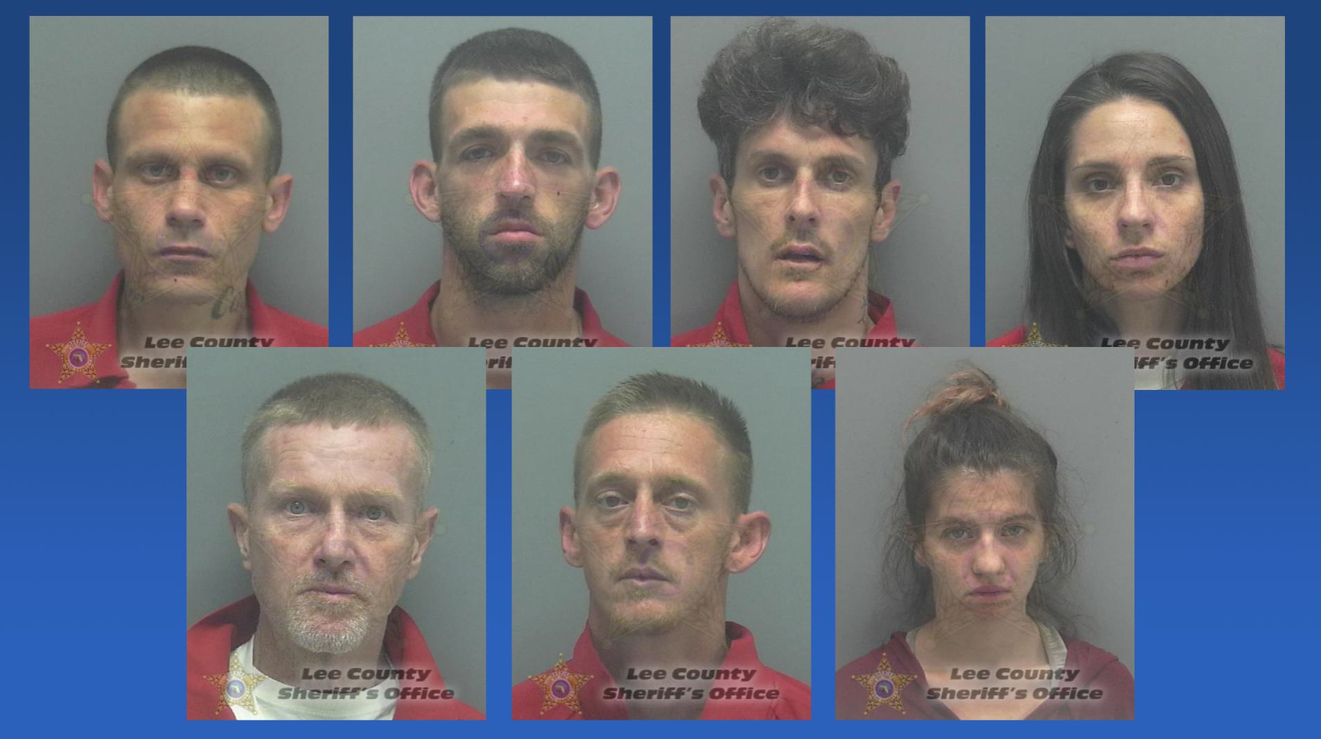 lee county arrest search