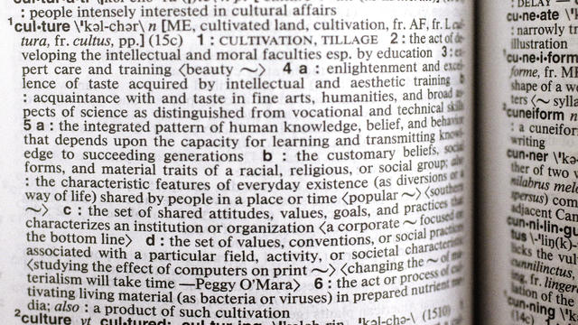 Neg Definition & Meaning - Merriam-Webster