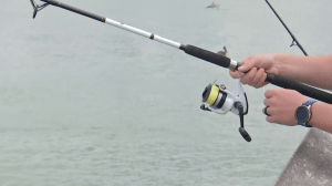 fishing from the Naples Pier