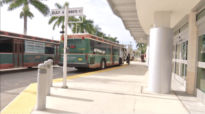 collier buses