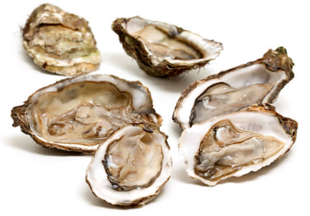 FDA Warns Of Raw Oysters Potentially Contaminated With Norovirus ...