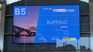 buffalo flight delayed