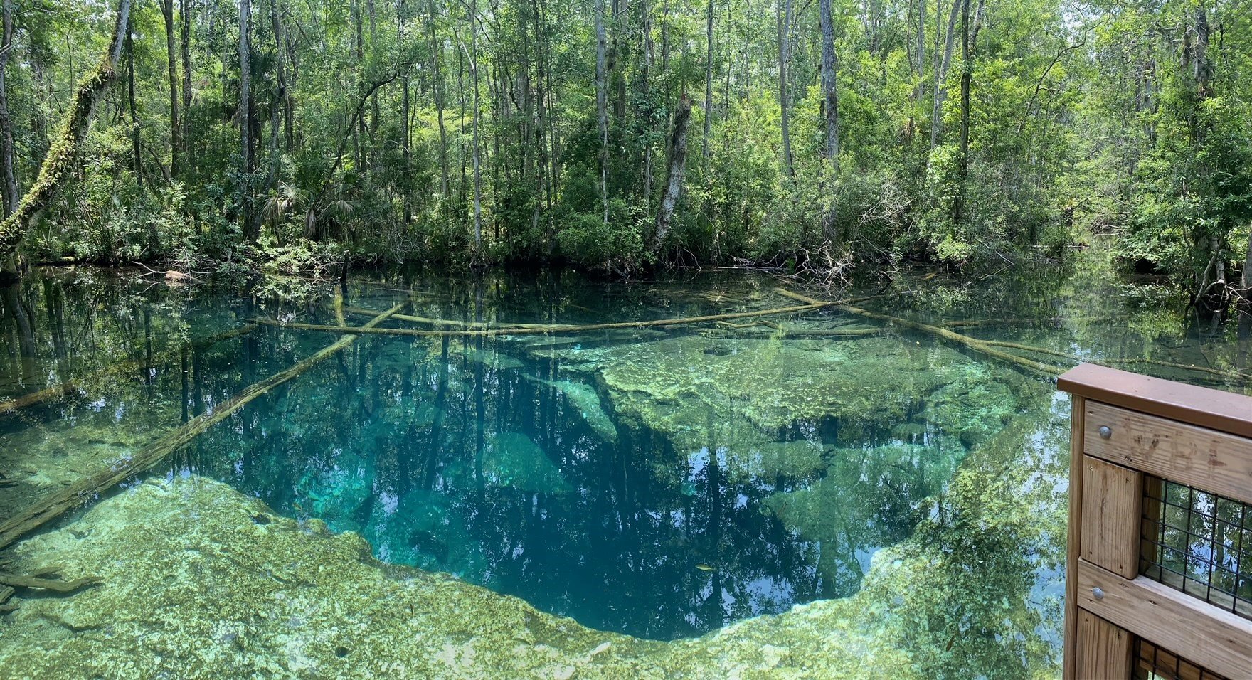 2-divers-drown-in-hernando-county-cave-diving-expedition-wink-news