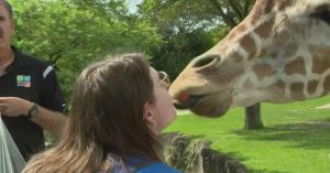 Allison Farely flew into Miami from Texas on Monday to receive her wish, which was granted by the Make-A-Wish Foundation: she got a VIP tour of Zoo Miami.