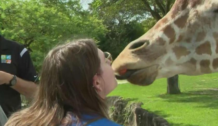 Allison Farely flew into Miami from Texas on Monday to receive her wish, which was granted by the Make-A-Wish Foundation: she got a VIP tour of Zoo Miami.