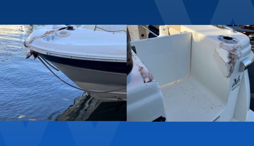 boat damage