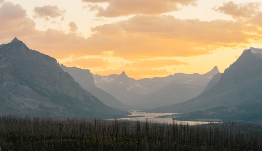A 79-year-old Florida man has died in a fall in Glacier National Park while he was trying to scramble up an off-trail slope with friends.