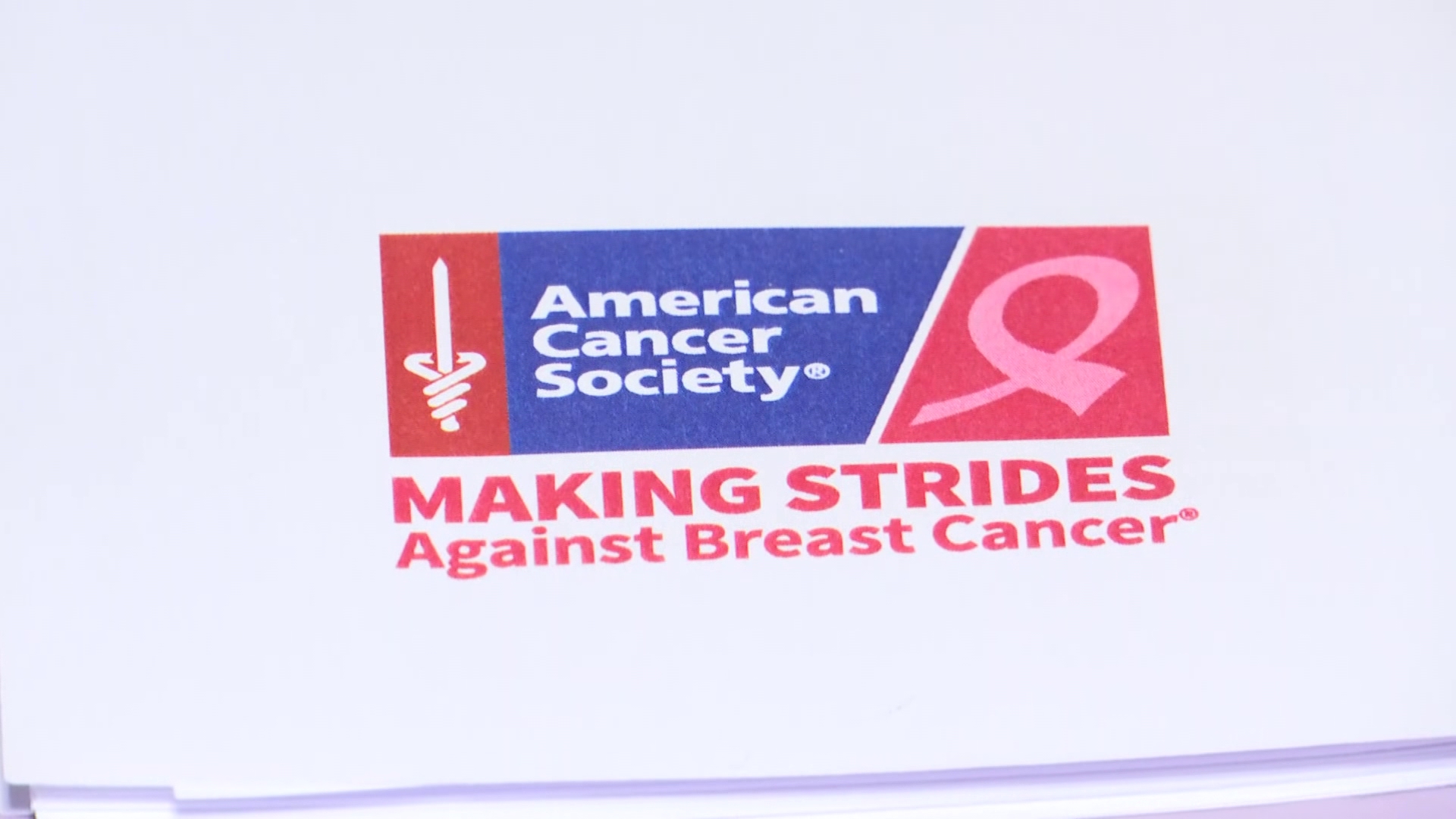 Making Strides Against Breast Cancer Holds Kickoff Event Wink News