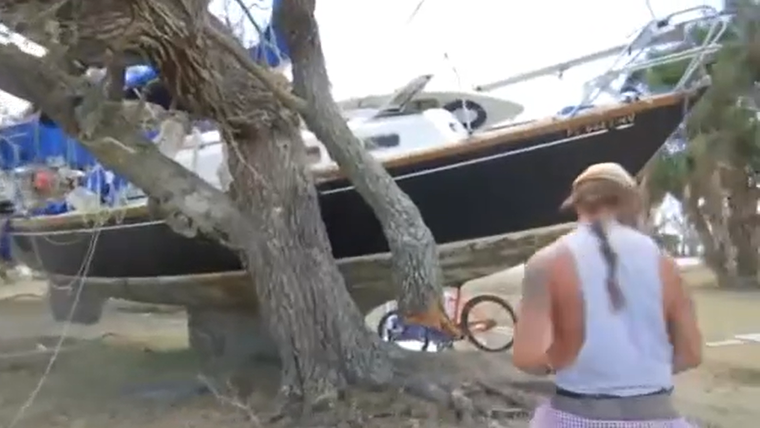 Norway man needs help getting boat out of tree after Hurricane Ian - WINK  News