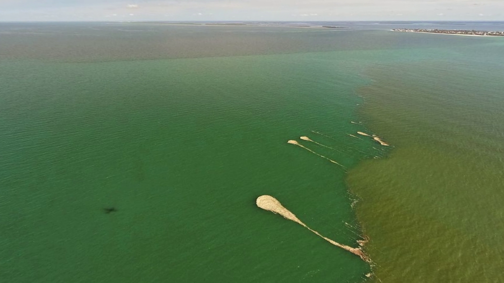 Red tide research gets a $840K funding boost from FWC - WINK News