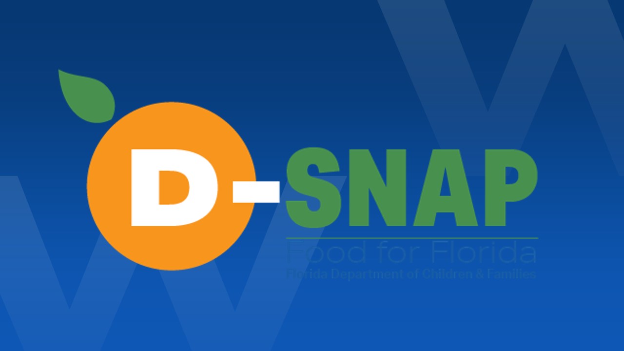 D-SNAP Available For Families In Charlotte And Sarasota Counties