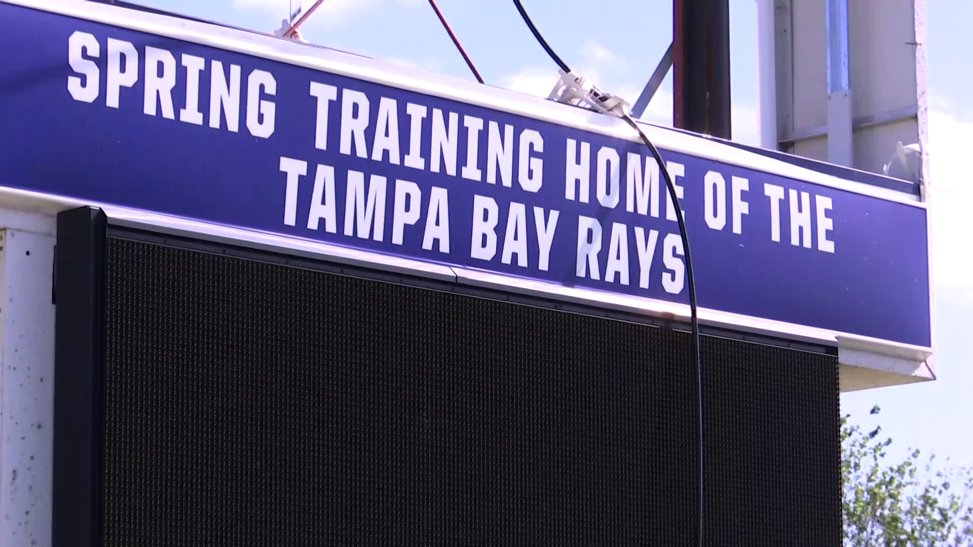 Tampa Bay Rays 12 Team Color Flag Sign