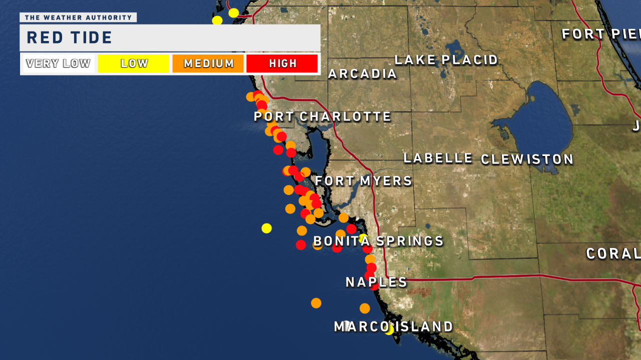 Red Tide in Southwest Florida Problem continues to increase