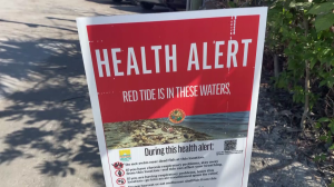 Red Tide Alert